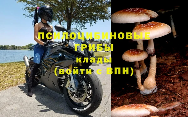 каннабис Абаза