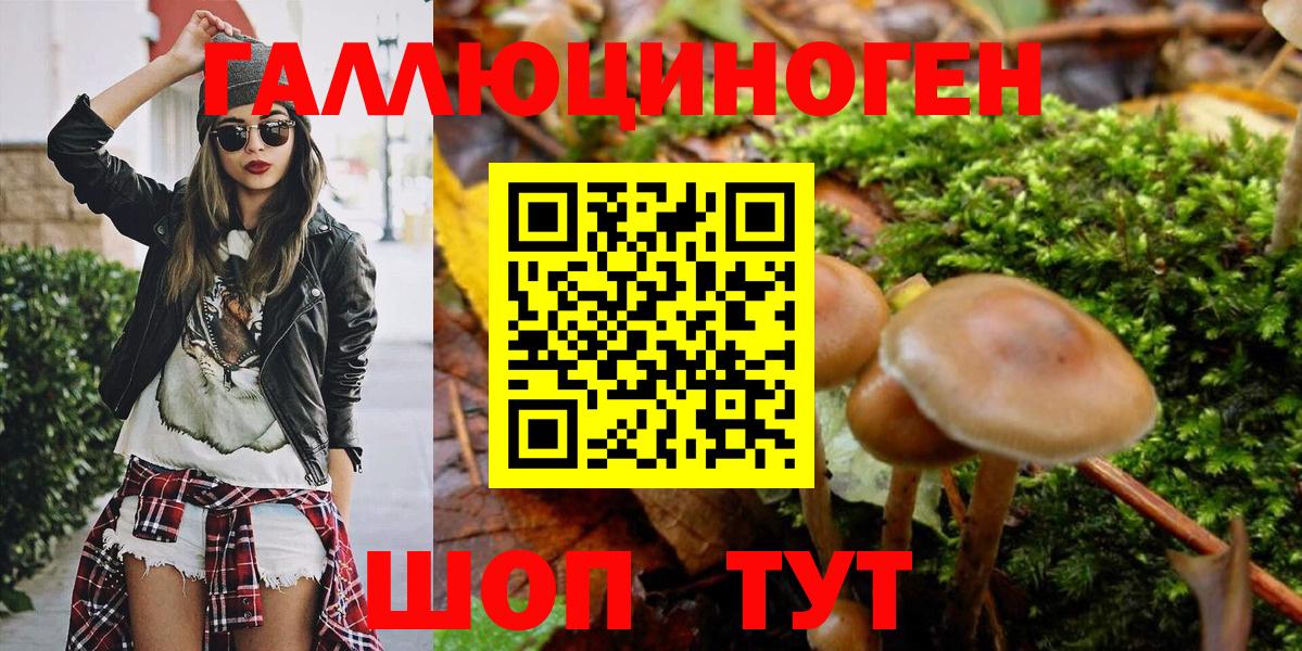 Галлюциногенные грибы GOLDEN TEACHER  Псилоцибиновые грибы Magic Shrooms  Вход с VPN  Заринск 